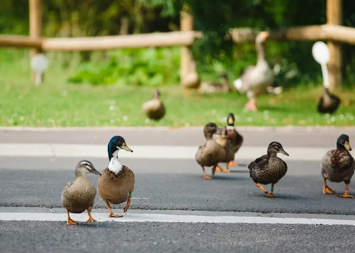 A Avec Balcon Et Parking, Proche - Fr-1-788-41 Apartmán Cabourg